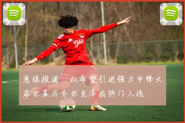 意媒报道囧叔希望引进强力中锋大菲尔莱万齐尔克泽成热门人选